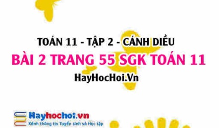 Bài 2 trang 55 Toán 11 tập 2 Cánh Diều